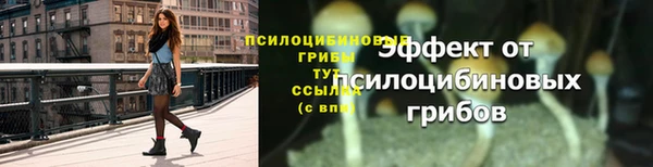 гидра Алзамай