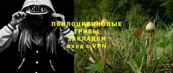 гидра Алзамай
