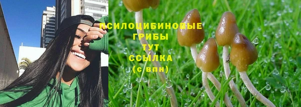 кокаин Алексин